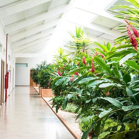 Hotel Vila Verde Penápolis Dış mekan fotoğraf