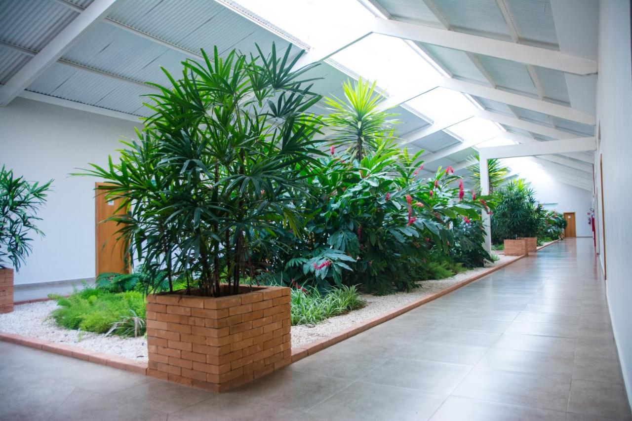Hotel Vila Verde Penápolis Dış mekan fotoğraf